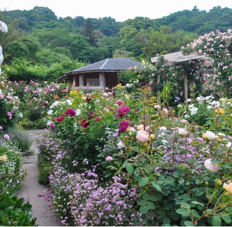 山あいの一軒家