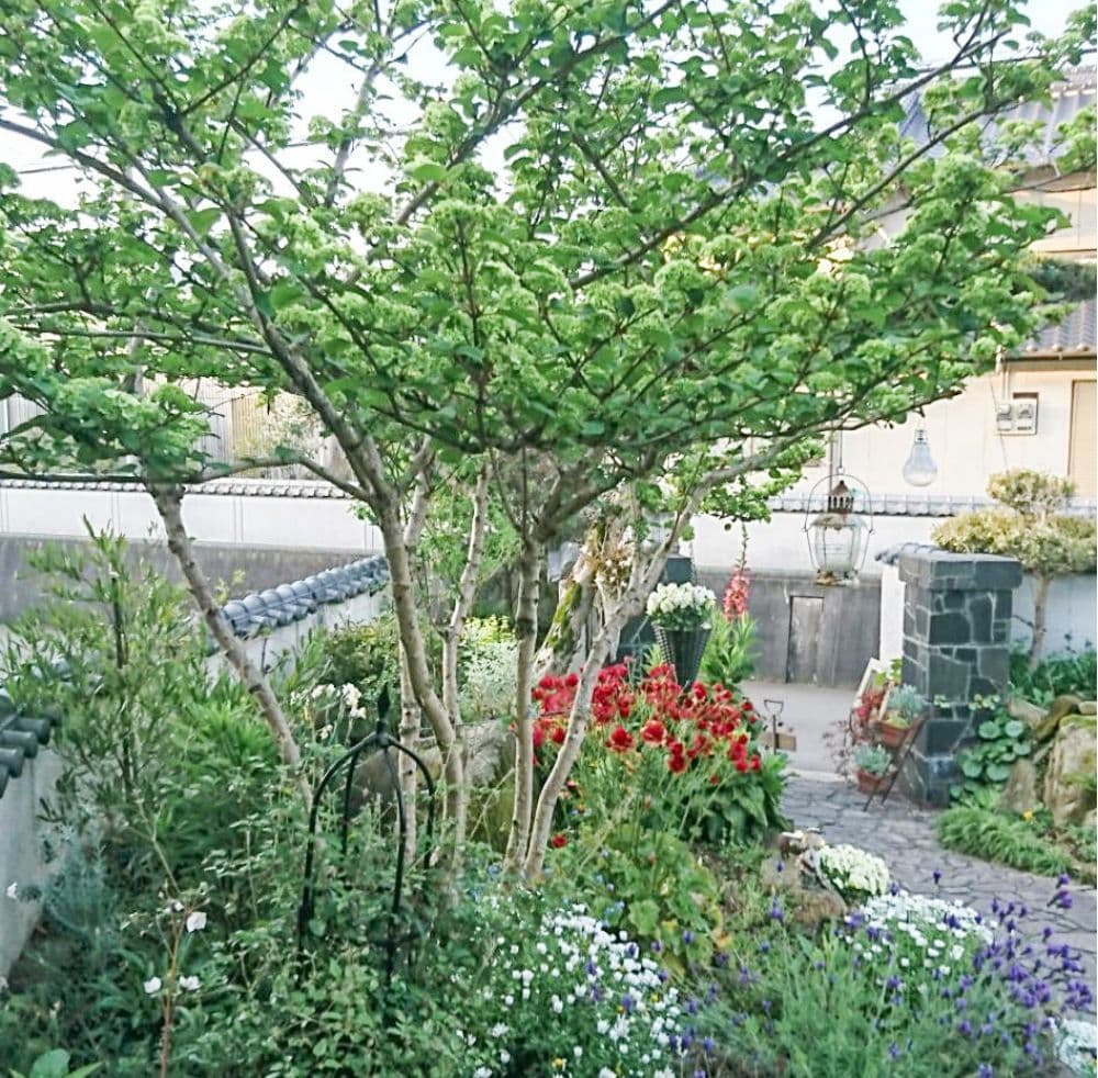 田園風景を背景に