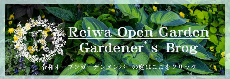 メンバーズブログ