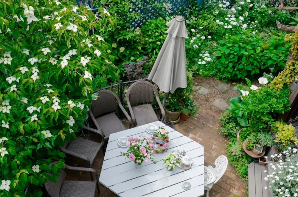 岩城家の庭とテーブル