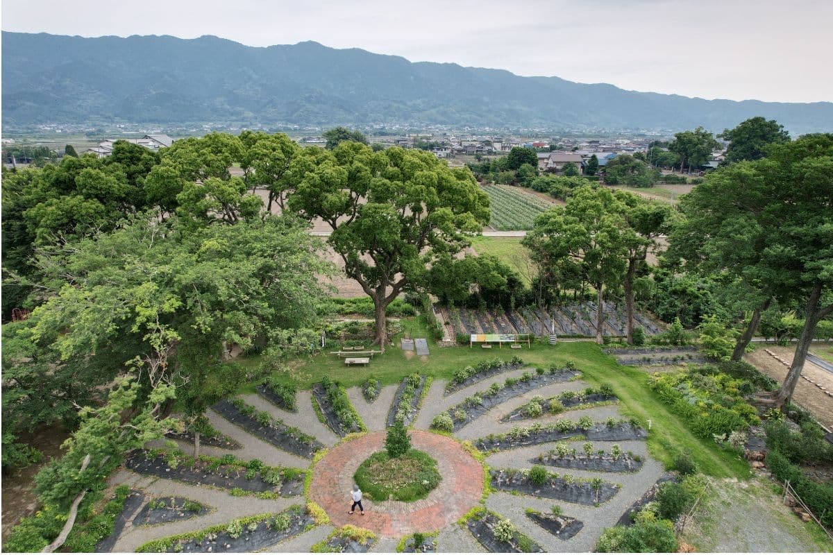 地域の憩いの広場