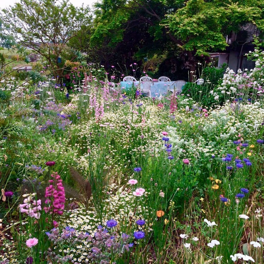 柳川市大浜町1651-4成清家の庭