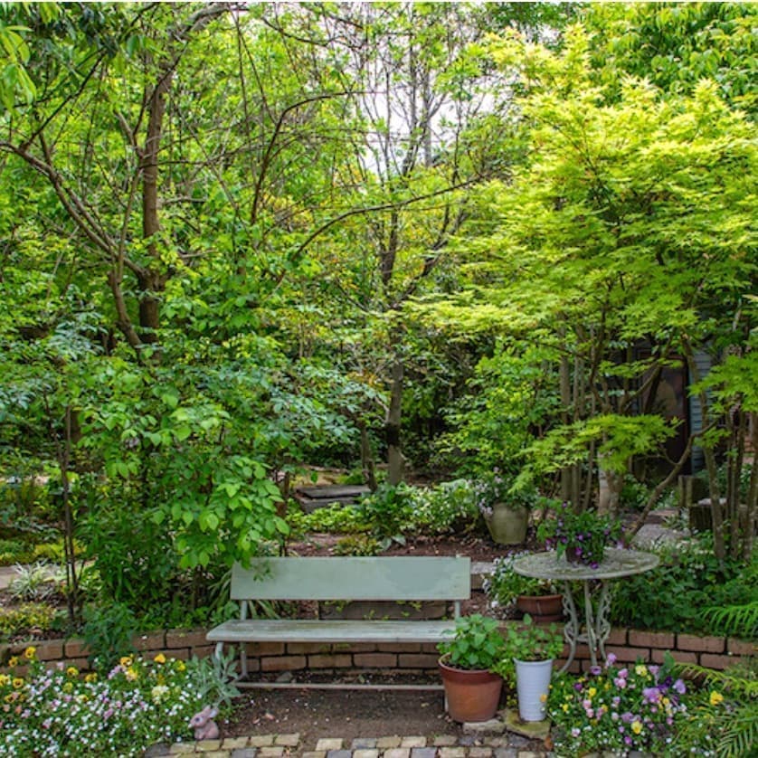 久留米市藤山町1627-13野間口家の庭