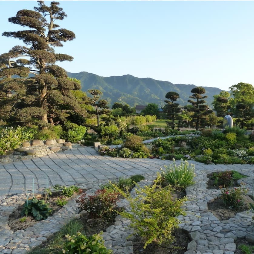 久留米市大橋町合楽園と野草園