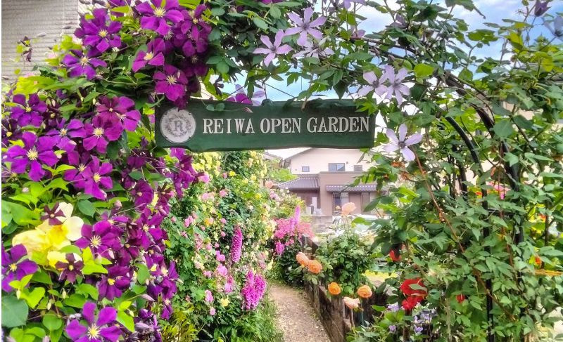 グラハムトーマス