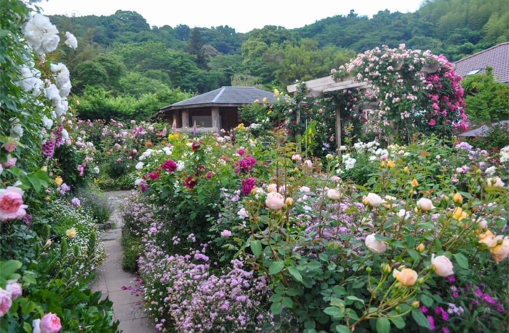 山あいの美しい庭