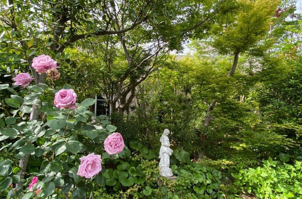 田中家の庭とテーブル