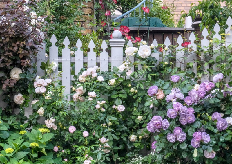 洋風　白フェンス