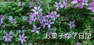 ブログ　お菓子な？日記