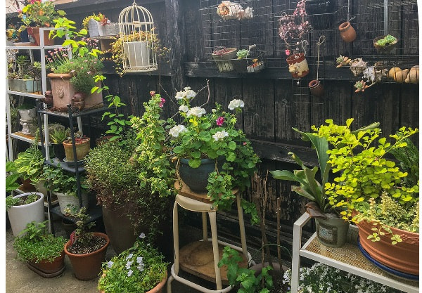 室外機のカモフラージュ