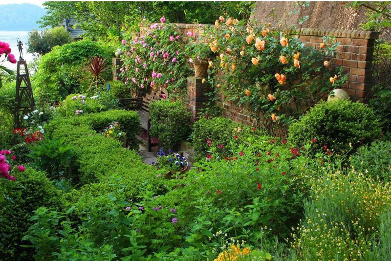 メインガーデン