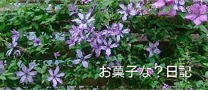 ブログ　お菓子な？日記