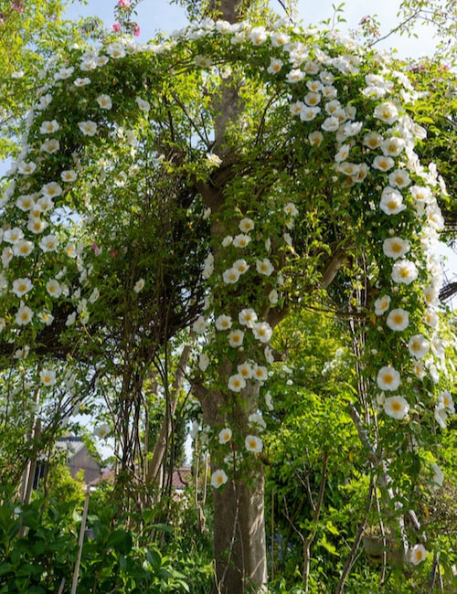 DIY 室外機カバー