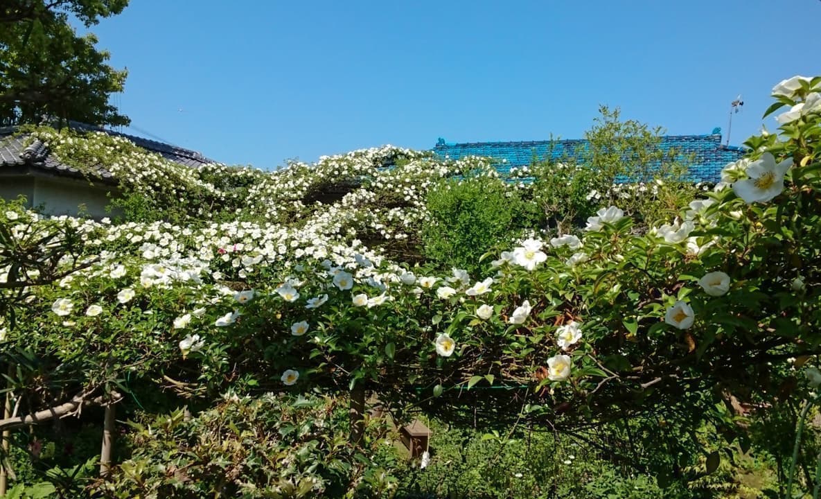 DIY 室外機カバー