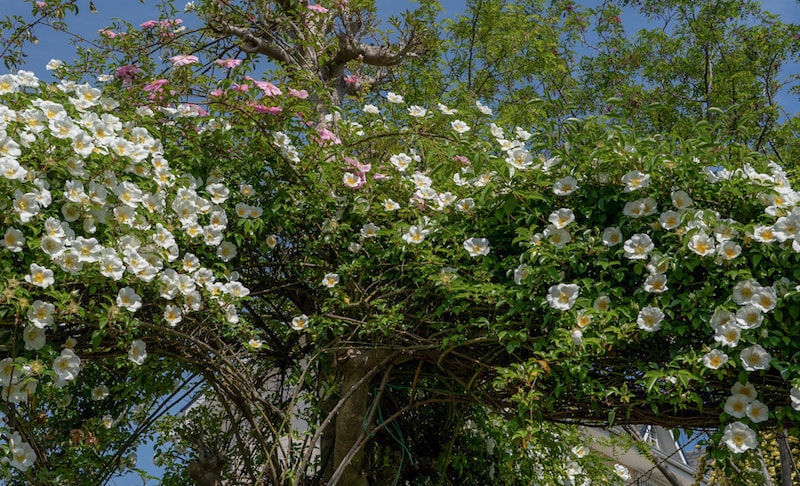 DIY 室外機カバー