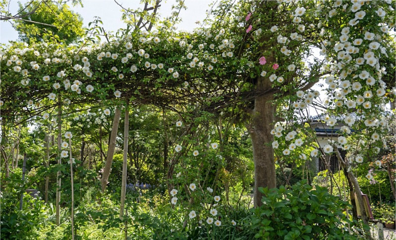 DIY 室外機カバー