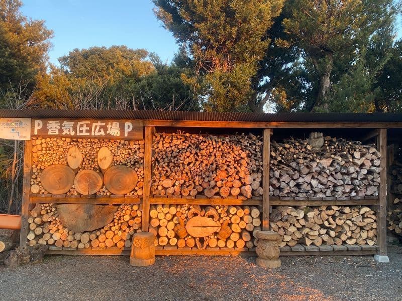 ナニワイバラ　白いバラ