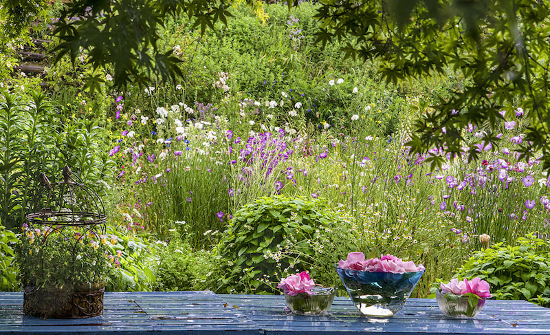 花のディスプレイ