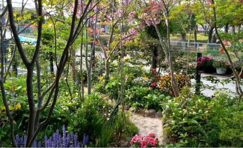 花のディスプレイ