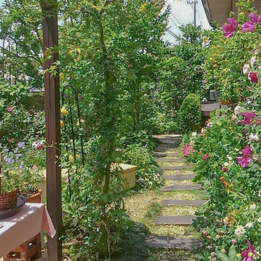 大善寺南1-11-10中村家の庭