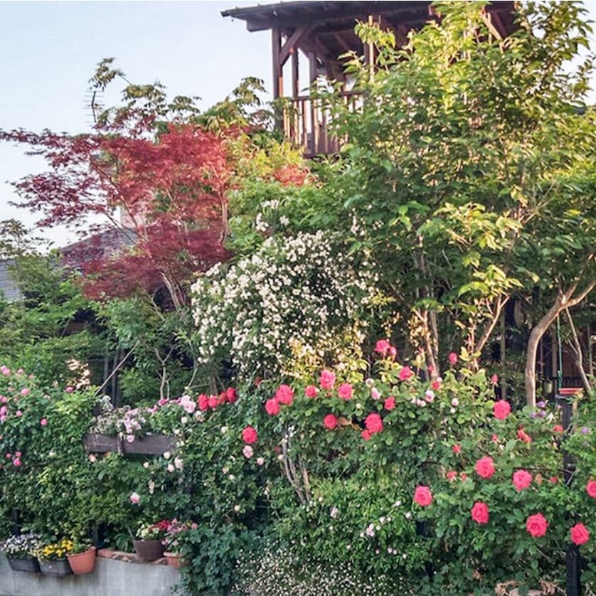 筑後市熊野　豊住の家