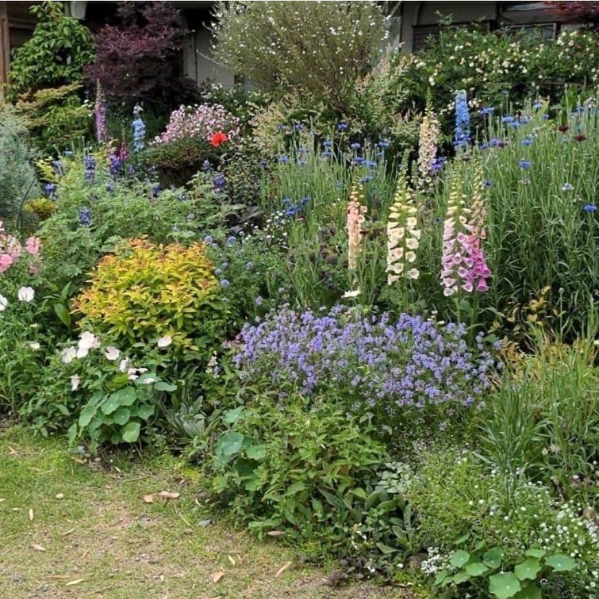 久留米市上津町2228-924大隈家の庭