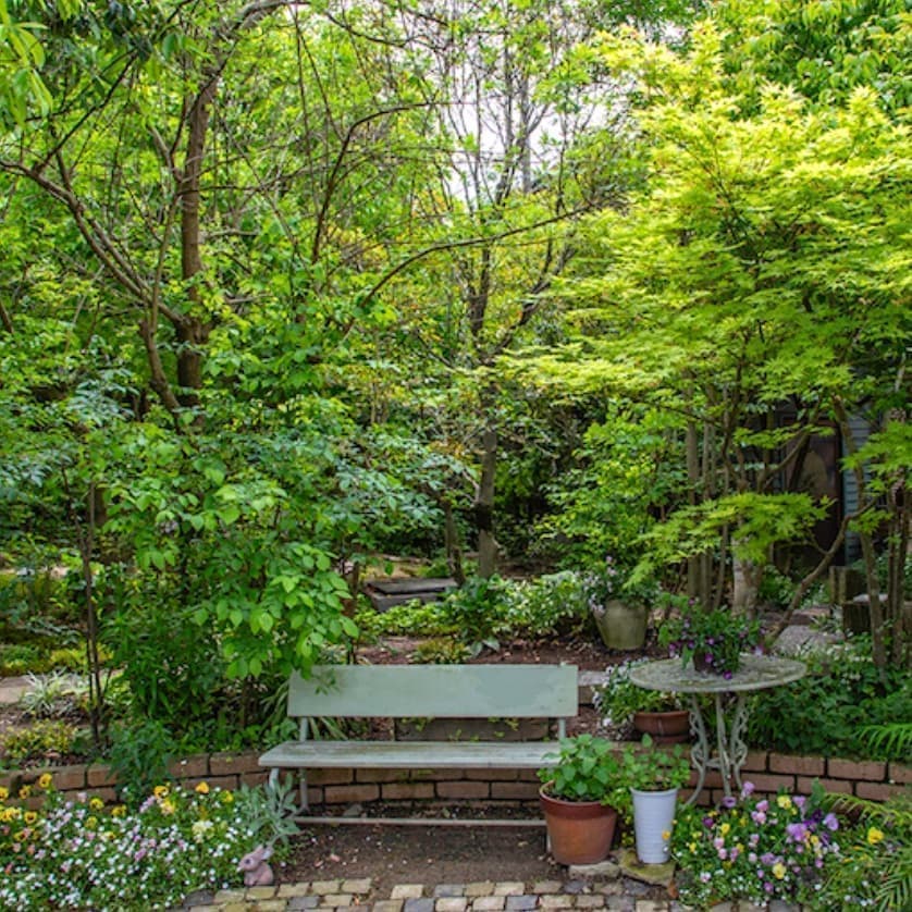 藤山町1627-13野間口家の庭