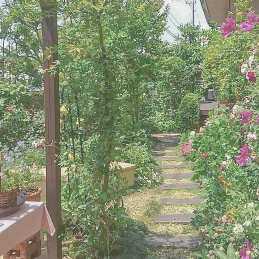 大善寺南1-11-10中村家の庭