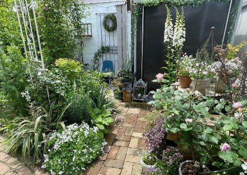 宗像カノコユリ研究会