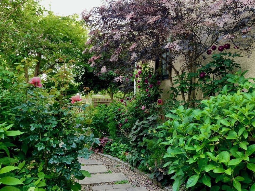 野涯(のぎわ)家の庭