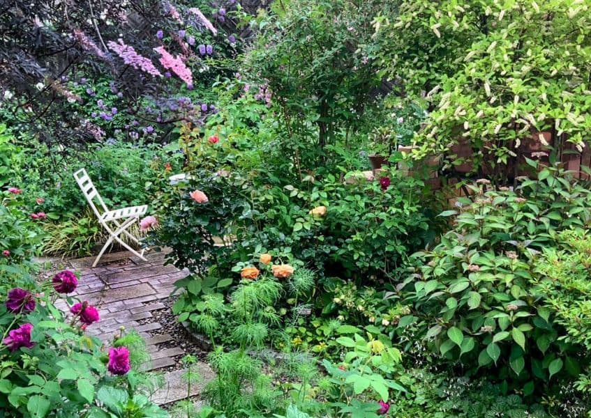 宗像カノコユリ研究会