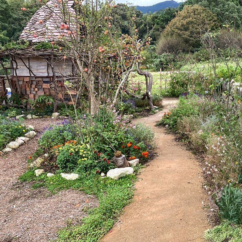 草花を楽しめる庭の散歩径