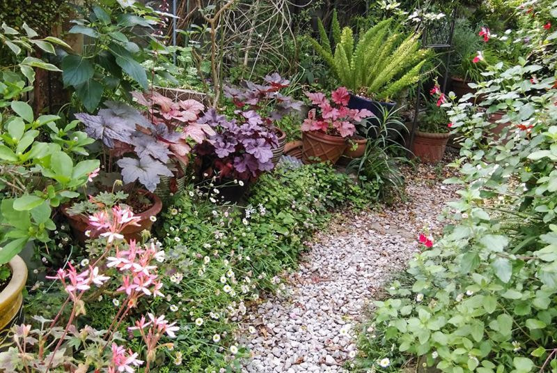 庭に入るアプローチ