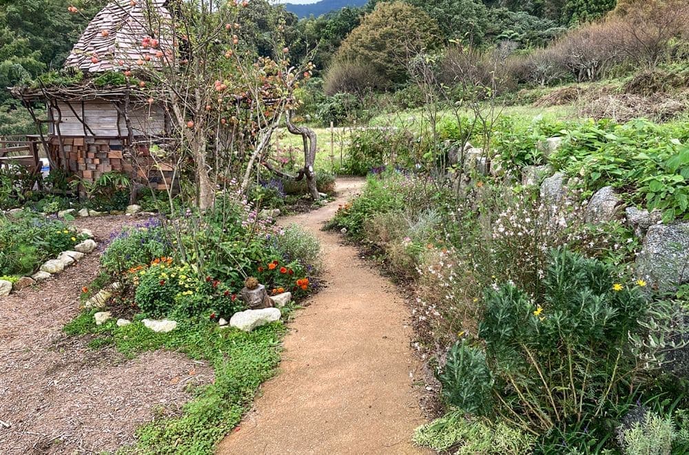 二丈の山とコテージガーデン