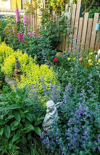 エケベリアコレクション