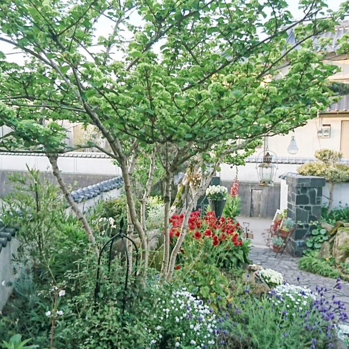 合楽香気圧広場