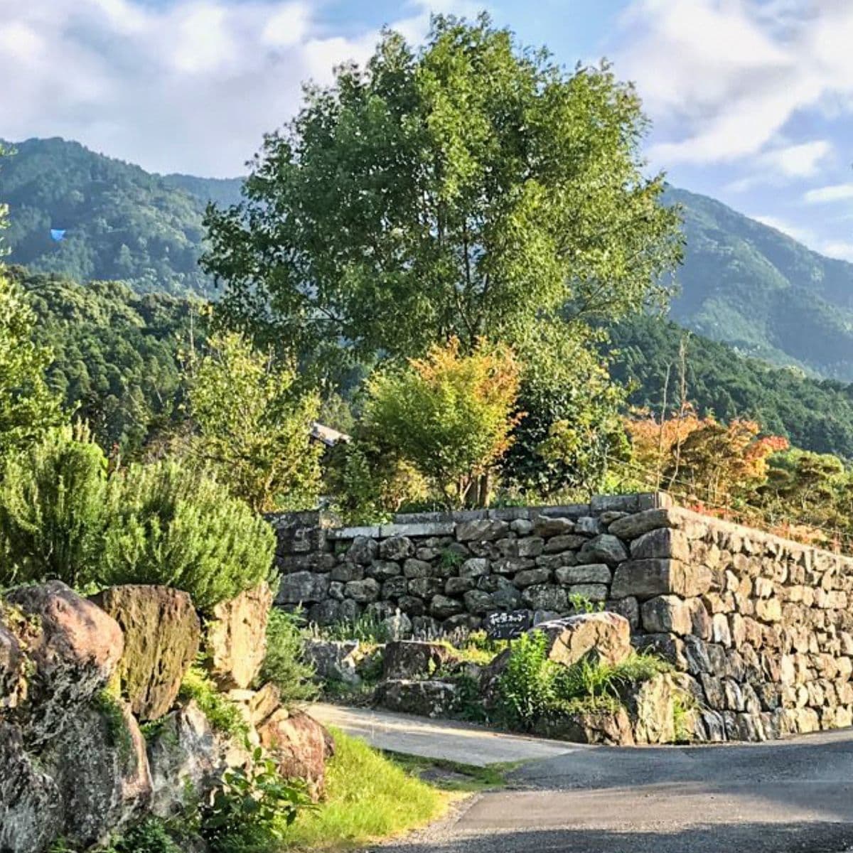 久留米市大橋町香気圧広場