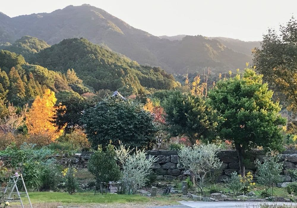 みのう山麓のハーブガーデン