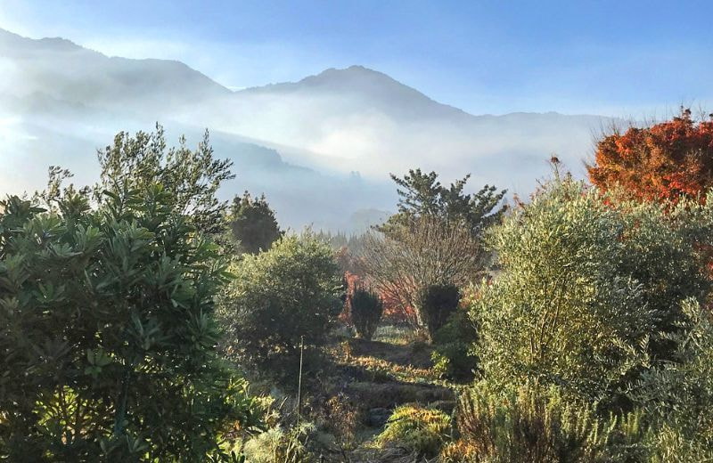 みのう山麓のハーブオリーブガーデン