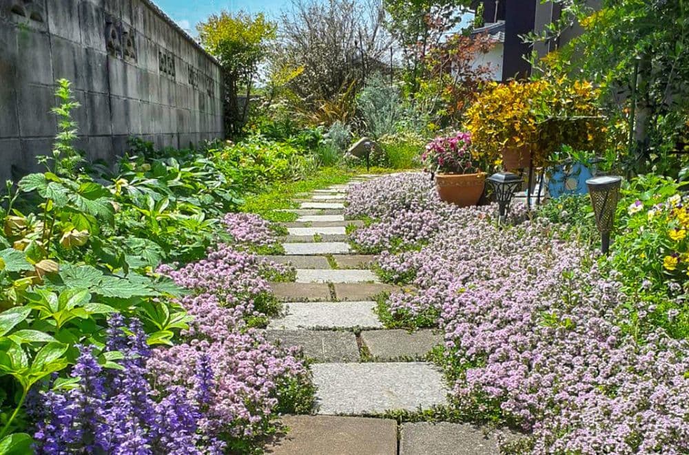 家族で作ったお庭とお墓