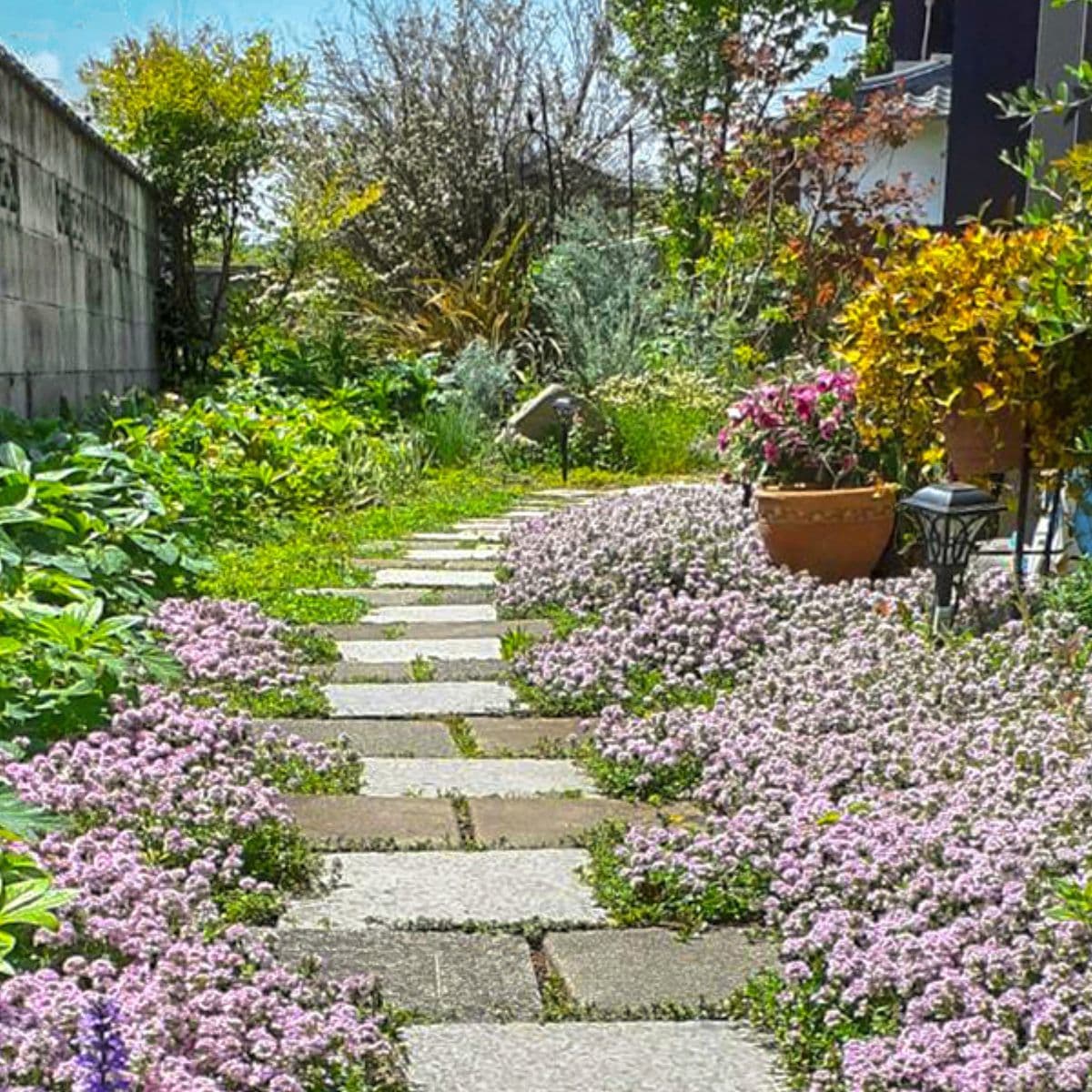 久留米市大橋町香気圧広場